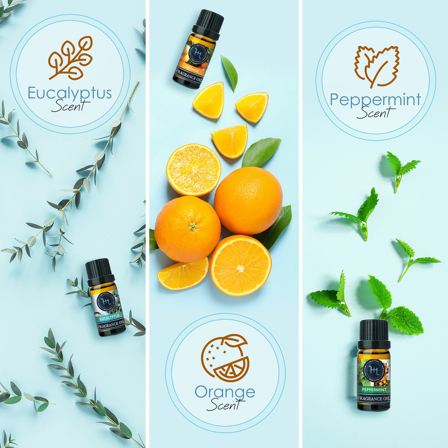 Hearth & Harbor Premium Fragrance Oil Set of 6 Scented Oil for Soap Making, Candle Making, Incense, Potpourri & Aroma Diffuser  - Lemongrass, Peppermint, Orange, Lavender, Eucalyptus, Tea Tree Scents In 10ml Glass Amber Bottles