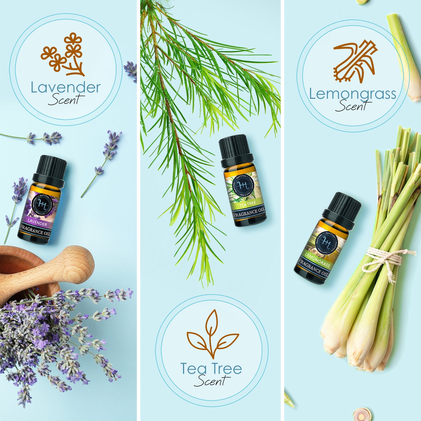 Hearth & Harbor Premium Fragrance Oil Set of 6 Scented Oil for Soap Making, Candle Making, Incense, Potpourri & Aroma Diffuser  - Lemongrass, Peppermint, Orange, Lavender, Eucalyptus, Tea Tree Scents In 10ml Glass Amber Bottles